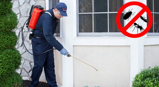 Akçakent Akrep İlaçlama böcek ilaçlama ve haşere kontrolü — ilaclama-tr.com
